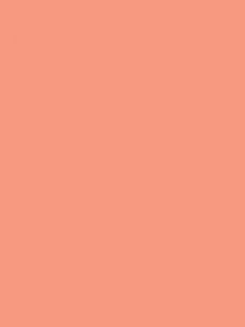 1101 - pink