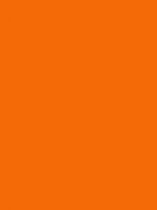 1108 - orange