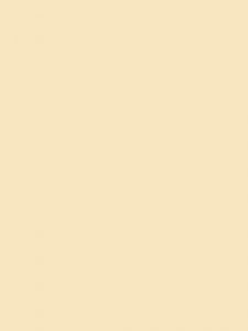 1110 - cream